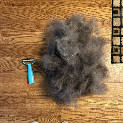 Cleaner Deshed