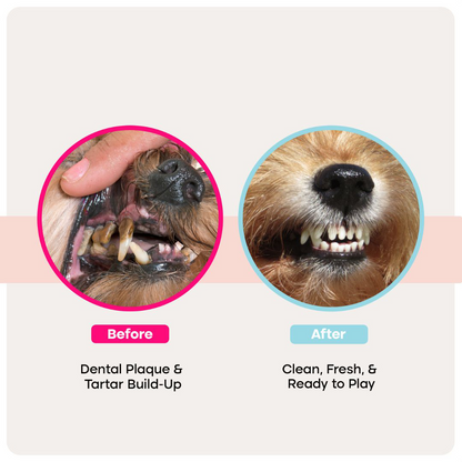 Pet Dental Wipes