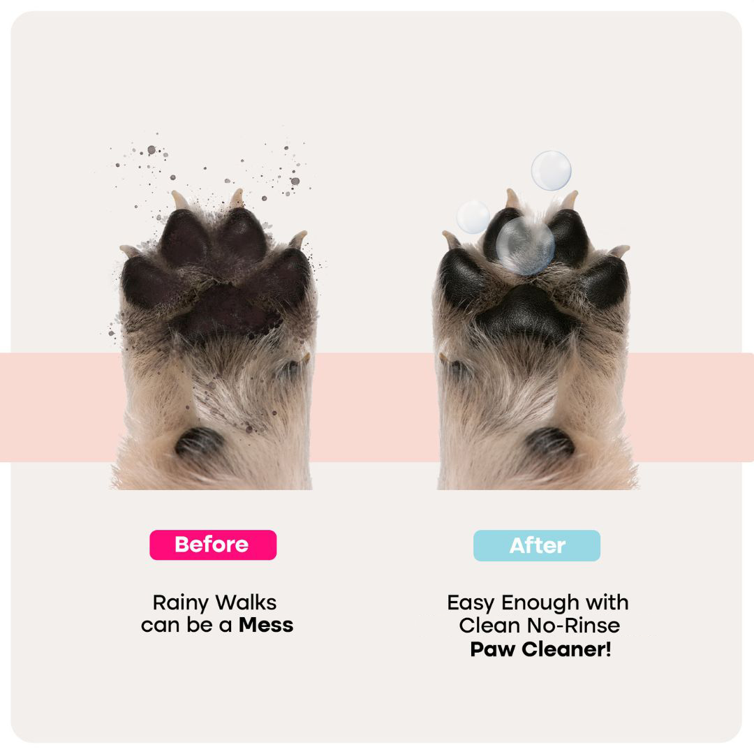 Pet Paw Cleaner