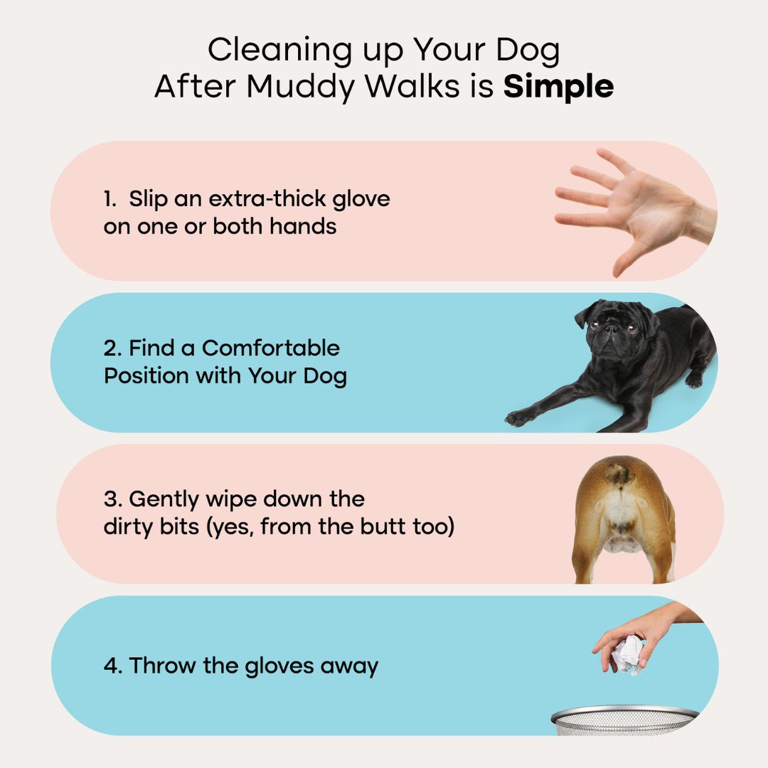 Pet Gloves Pro