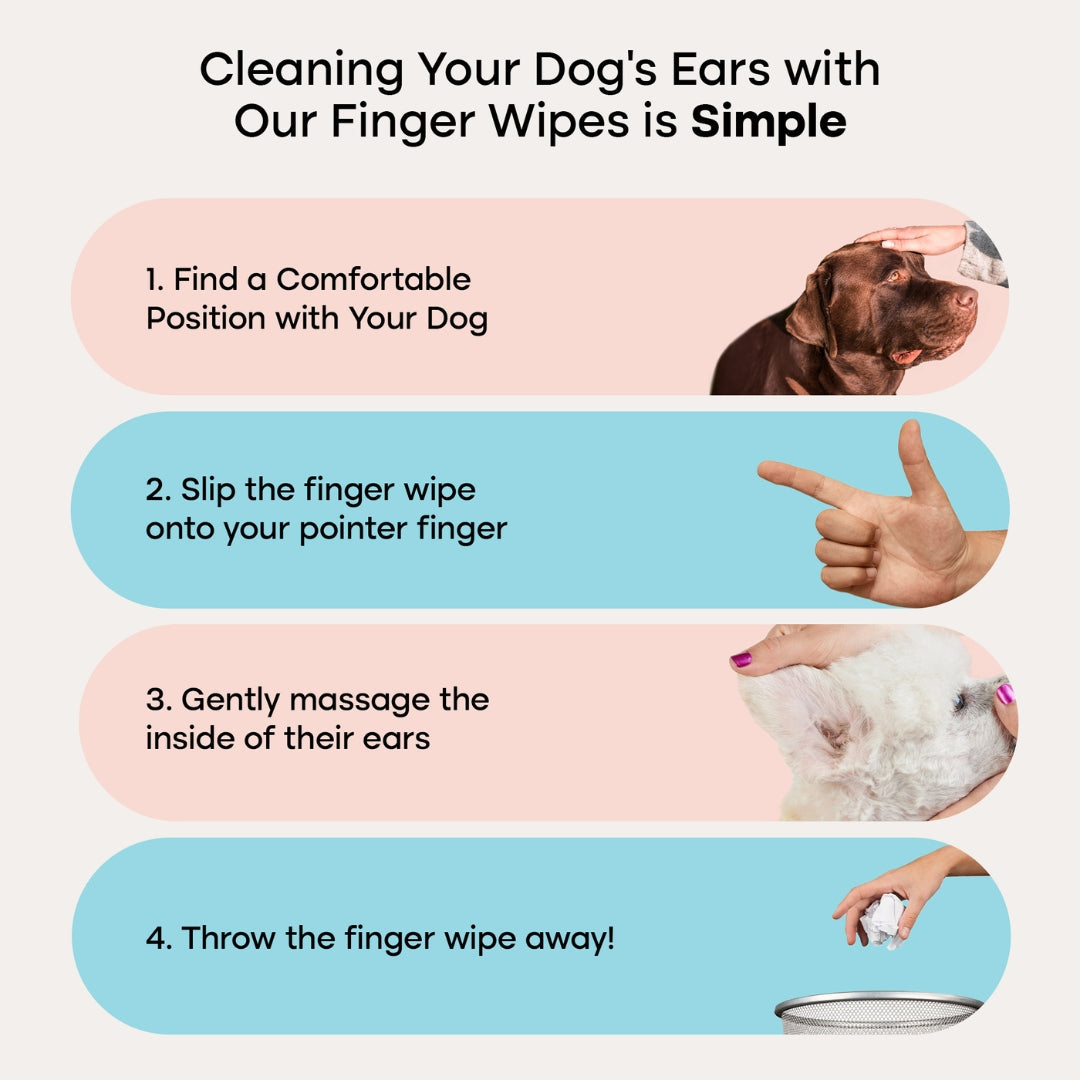 Pet Ear Wipes