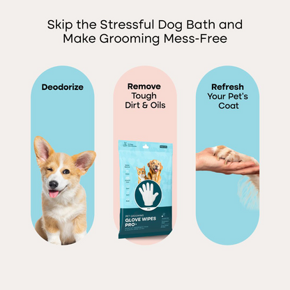Pet Gloves Pro
