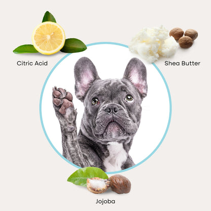 Pet Ear Wipes