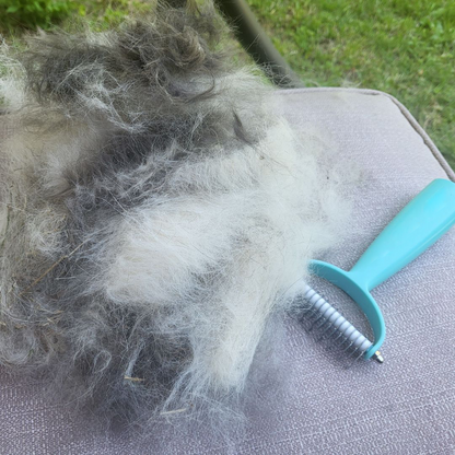 Cleaner Deshed