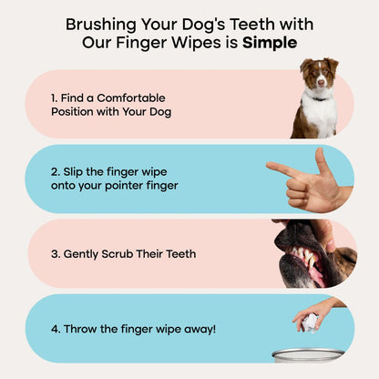 Pet Dental Wipes