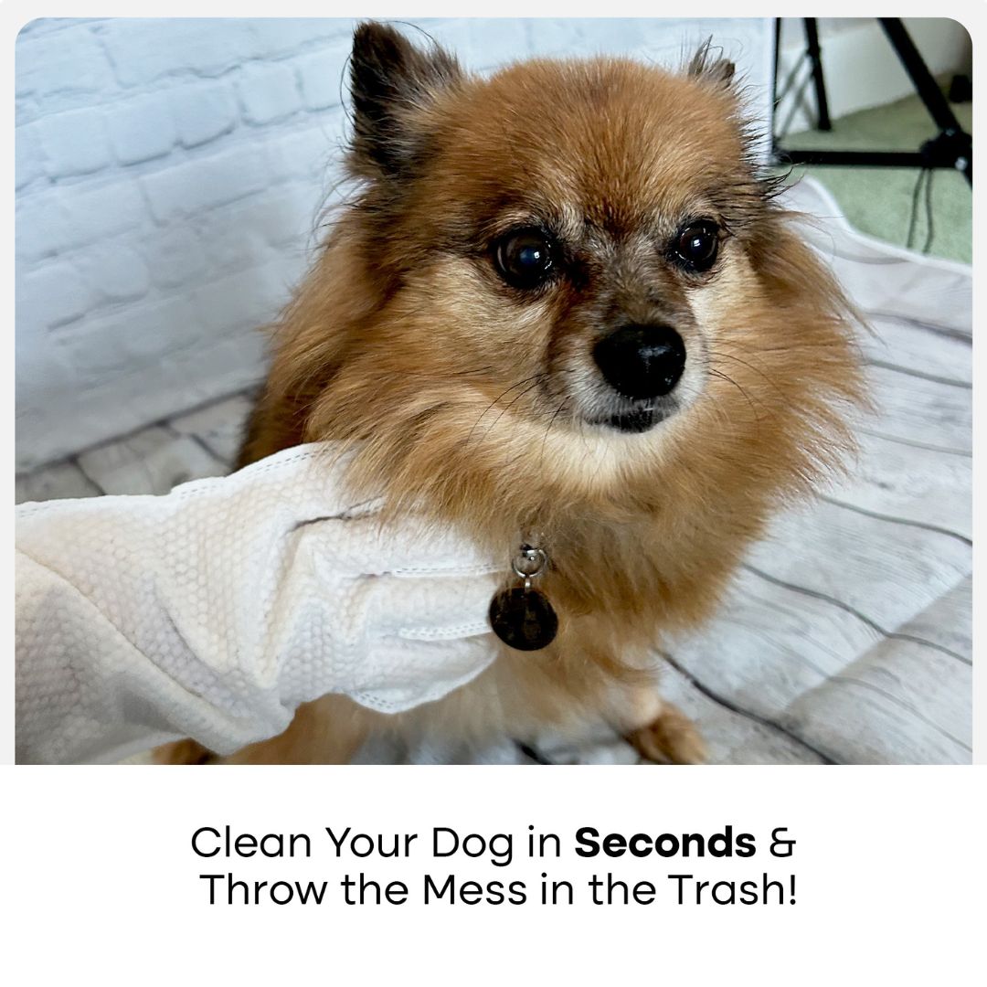 Pet Gloves Pro