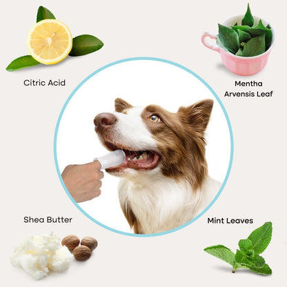Pet Dental Wipes