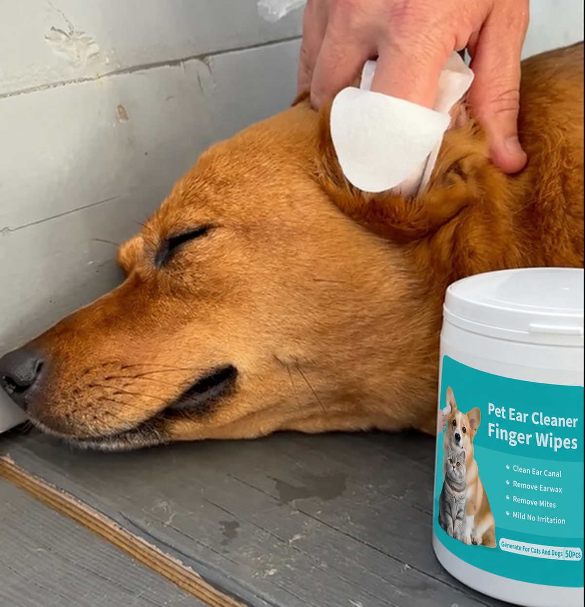 Pet Ear Wipes