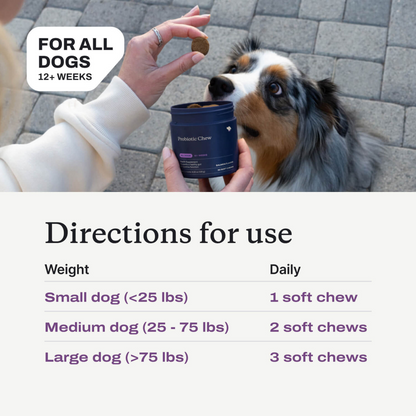 Probiotics for Dogs