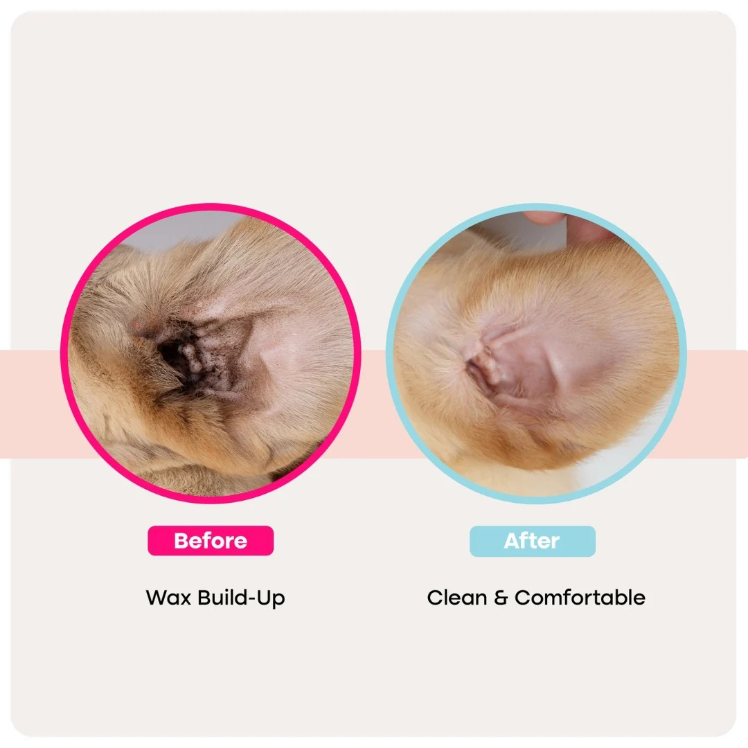 Pet Ear Wipes