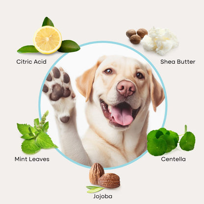 Pet Paw Cleaner