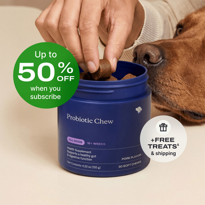 Probiotics for Dogs