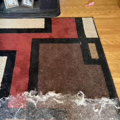 Cleaner Pro